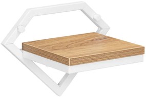 Nástenný stojan na kvety DORON biely