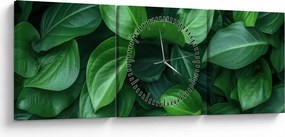 Obraz - Zelené listy (s hodinami) (90x30 cm)