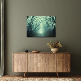 Obraz - Cesta s alejou stromov (70x50 cm)