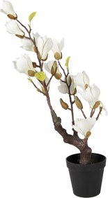Dekoračný stromček Magnolia s bielymi kvetmi - 16*14*60 cm