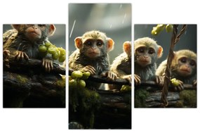 Obraz - Opičky (90x60 cm)