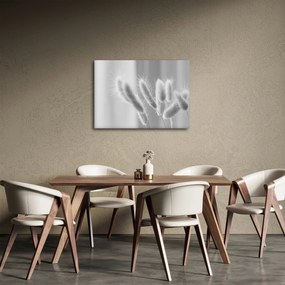 Obraz - Bunny tail grass (70x50 cm)