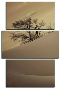 Obraz na plátne - Červené piesočné duny - obdĺžnik 7133FC (120x80 cm)