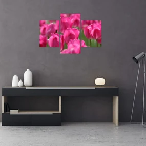 Obraz - Ružové tulipány (90x60 cm)