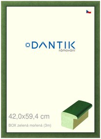 DANTIK rám na obraz 42x59,4 | BOXzelená mořená (Plexi Čiré)