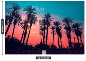 Fototapeta Vliesová Tropické palmy 416x254 cm