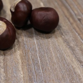 Beauflor, PVC podlaha - lino Texalino Supreme 631 M Barn Pine - borovica, na mieru, šíře 2m,4m,5m, hnedá, filc, chodba / predsieň