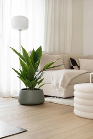 Kvetináč GORDO, sklolaminát, výška 21 cm, sivý