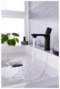 Meister Umývadlová batéria (čierna)  (100393767)