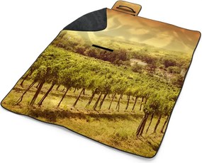 Sablio Plážová deka Vinohrad: 200x140 cm