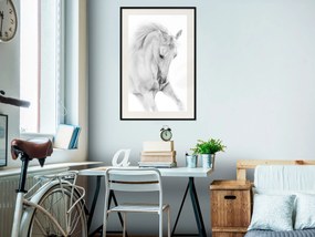 Artgeist Plagát - White Horse [Poster] Veľkosť: 20x30, Verzia: Čierny rám s passe-partout