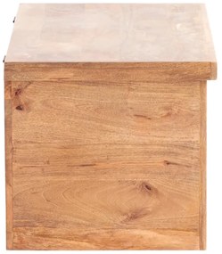 furniture-nabytek.cz - Masívna truhlica Delhi z mangového dreva, hnedá – 88×88×44 cm