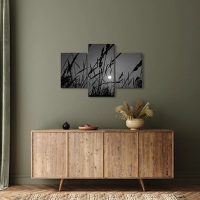 Obraz - Lúka so západom slnka (90x60 cm)