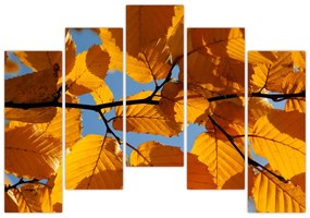 Jesenné lístie - obraz