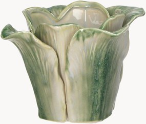 Obal na kvetináč Cabbage