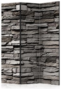 Artgeist Paraván - Stony Facade [Room Dividers]