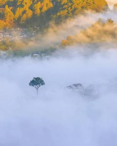 Umelecká fotografie lonely tree in the fog with, Khanh Bui, (30 x 40 cm)
