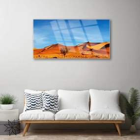 Obraz plexi Púšť krajina 100x50 cm