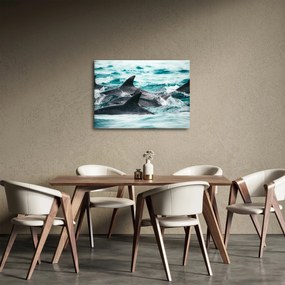 Obraz - Delfíny v oceáne (70x50 cm)