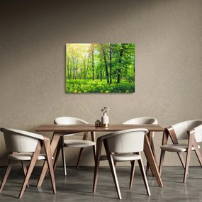 Sklenený obraz - Jarný listnatý les (70x50 cm)