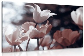 Obraz jarné tulipány v parku - 60x40