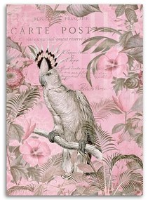 Gario Obraz na plátne Ružový vták kakadu - Andrea Haase Rozmery: 40 x 60 cm