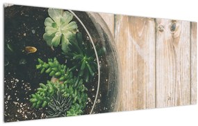 Obraz sukulentov v skle (120x50 cm)