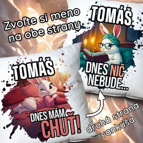 Ahome Vankúš Dnes mám chuť - Dnes nič nebude s menom