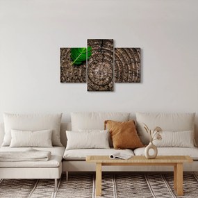 Obraz listu na kmeni stromu (90x60 cm)