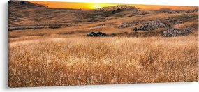 Obraz pole (120x50 cm)