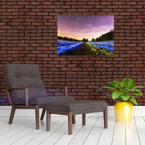 Obraz farebného poľa (70x50 cm)