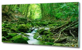 Fotoobraz na skle Prameň v lese osh-66843230