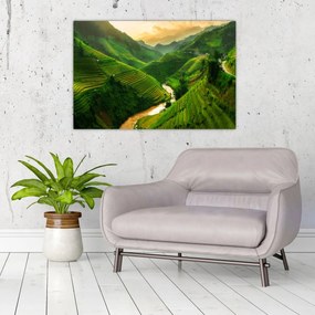 Obraz - Ryžové terasy Mu Cang Chai (90x60 cm)