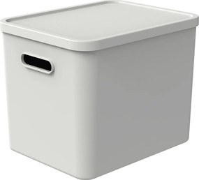 Rotho 2. akosť - Úložný box, rovný s vekom, 27l, matne biela ALBU LIGHT, 37x29x30