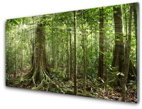 Sklenený obklad Do kuchyne Les príroda džungle 125x50 cm
