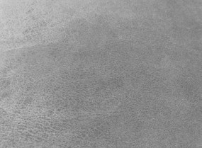 Dvojsedák Nebolo, svetlo šedá látka v optike kože