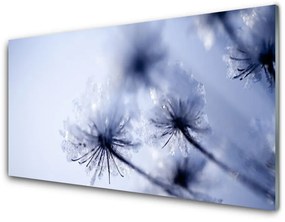 Skleneny obraz Púpava rastlina 100x50 cm