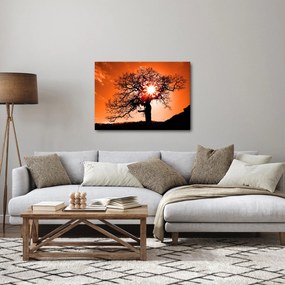 Obraz - Dub pri západe slnka (70x50 cm)