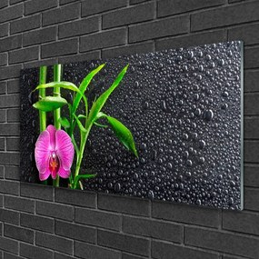 Skleneny obraz Bambus kvet kvapky 100x50 cm