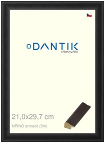 DANTIK rám na obraz 21x29,7 | NPINO antracit (Sklo Čiré)