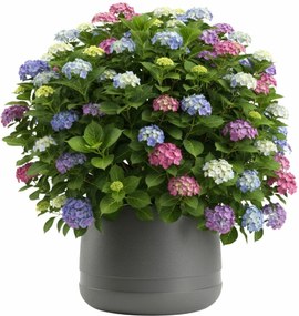 PLASTOVÝ KVETINÁČ LUNA VASE 42X32 CM ANTRACITOVÁ