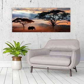 Obraz - Národný park Serengeti, Tanzánia, Afrika (120x50 cm)