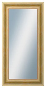 DANTIK - Zrkadlo v rámu, rozmer s rámom 50x100 cm z lišty KŘÍDLO veľké zlaté patina (2772)