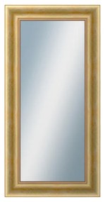 DANTIK - Zrkadlo v rámu, rozmer s rámom 50x100 cm z lišty KŘÍDLO veľké zlaté patina (2772)