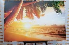 Obraz východ slnka na karibskej pláži - 90x60