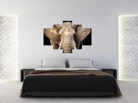 Obraz - Slon africký (150x105 cm)