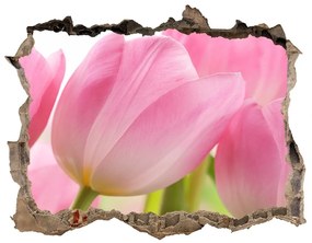Samolepící díra nálepka Ružové tulipány nd-k-76775867