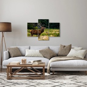 Obraz jeleňa (90x60 cm)