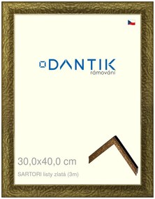 DANTIK rám na obraz 30x40 | SARTORI listy zlatá (Plexi Čiré)