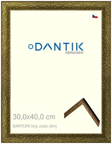 DANTIK rám na obraz 30x40 | SARTORI listy zlatá (Plexi Čiré)